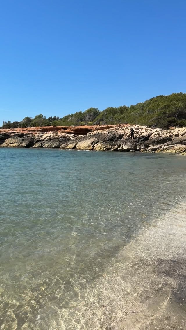 🚗 Escapada a una hora de Valencia

Alcossebre me gusta porque es tranquilo con alma de pueblo, pero tiene muchas actividades que ofrecer. 

¡No te vas a aburrir aunque quieras!

Está ves nos hospedamos en un departamento desde la inmobiliaria @casa__azahar que nos encantó… 

👉primero porque era super lindo y moderno decorado.
👉era para 6, completísimo y equipado y a 100 metros de la Playa de las Fuentes y 10 minutos de Cala Blanca.
👉 La zona tranquila, con super y servicios.
👉 Fue súper fácil buscar la llave y luego devolverla. Tienen teléfono por urgencias.
👉 Hasta lavavajillas y lavadora 🥹

Les dejamos⚠️ CÓDIGO DE DESCUENTO‼️: PYGVIAJEROS 

🌊 PLAYAS
👉 Playa del cargador
👉 Playa de las Fuentes
👉Cala Blanca ¡Nuestra favorita! 🤩 
👉Cala Mundina

PARQUES INFANTILES
👉 Sobre el paseo marítimo en el centro hay juegos junto al mar
👉 Zona lúdica de Irta
👉Paraue del ferrocarril en Alcalá de Xivert

¿Qué más ver?
👉 Castillo de Xivert: llegas en coche hasta un mirador y de ahí seguís un tramito caminando. Perfecto para el atardecer.
👉 Ermita de Santa Lucía y San Benito de estilo barroco
👉 Paseo marítimo hasta el Faro
👉 Hay rutas por la Sierra de Irta para hacer en familia.

Guárdalo para ir a Alcossebre que te va a encantar. ¡Es para desconectar! Y esperamos aproveches el descuento para tu hospedaje. 

En su web vas a ver más opciones.

.*invitación 
.
.
#alcossebre #escapadasdefindesemana #castellon #comunidadvalenciana #planesenvalencia
